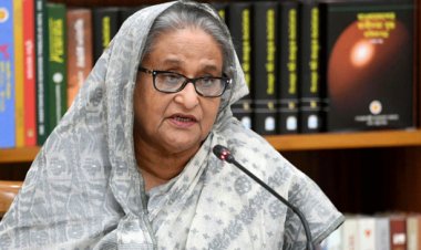 বিএনপি কখনো চায়নি দেশ খাদ্যে স্বয়ংসম্পূর্ণ হোক: প্রধানমন্ত্রী