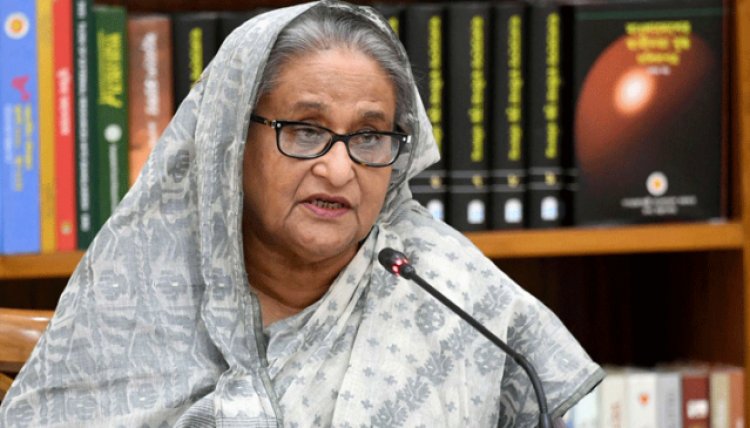বিএনপি কখনো চায়নি দেশ খাদ্যে স্বয়ংসম্পূর্ণ হোক: প্রধানমন্ত্রী